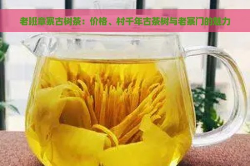 老班章寨古树茶：价格、村千年古茶树与老寨门的魅力