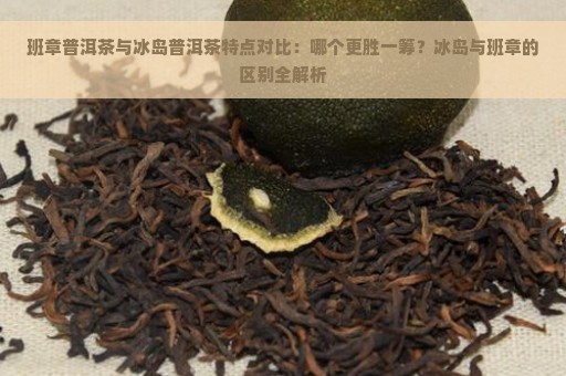 班章普洱茶与冰岛普洱茶特点对比：哪个更胜一筹？冰岛与班章的区别全解析