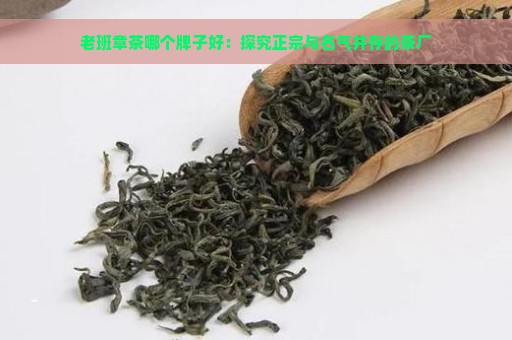 老班章茶哪个牌子好：探究正宗与名气并存的茶厂