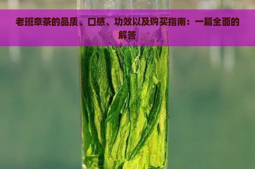 老班章茶的品质、口感、功效以及购买指南：一篇全面的解答