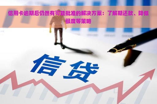 信用卡逾期后仍然有可能批准的解决方案：了解期还款、降低额度等策略