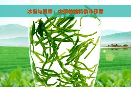 冰岛与班章：中茶的独特韵味探索