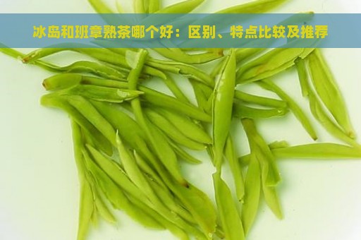 冰岛和班章熟茶哪个好：区别、特点比较及推荐