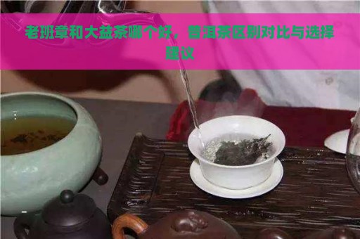 老班章和大益茶哪个好，普洱茶区别对比与选择建议