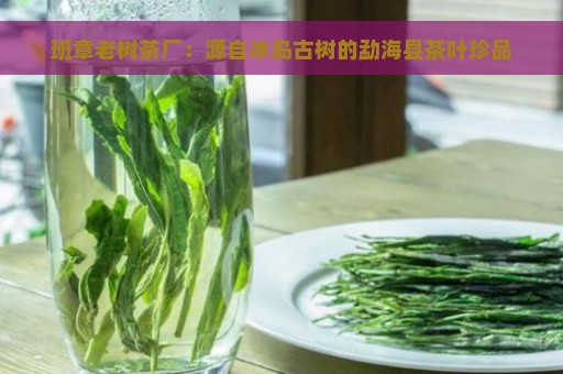 班章老树茶厂：源自冰岛古树的勐海县茶叶珍品