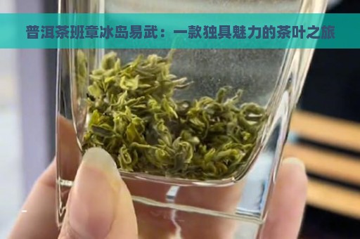 普洱茶班章冰岛易武：一款独具魅力的茶叶之旅