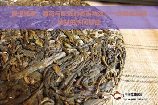 普洱熟茶、菊花与陈皮的多重功效：一次探索三种食材的协同效应