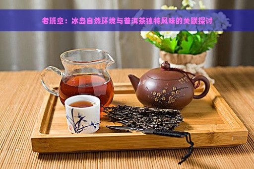 老班章：冰岛自然环境与普洱茶独特风味的关联探讨