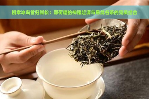 班章冰岛昔归曼松：薄荷糖的神秘起源与易武名茶的完美结合