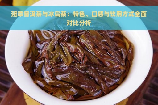 班章普洱茶与冰岛茶：特色、口感与饮用方式全面对比分析