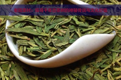 老班章村：探寻千年古茶树的神秘传说与文化价值