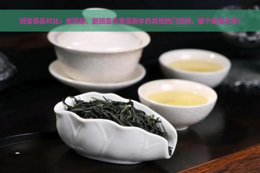 班章茶品对比：老班章、新班章与普洱茶中的其他热门品种，哪个更适合您？