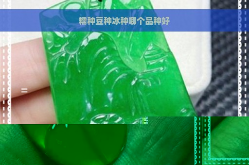 糯种豆种冰种哪个品种好