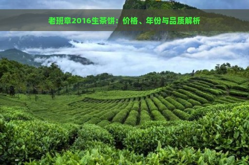 老班章2016生茶饼：价格、年份与品质解析