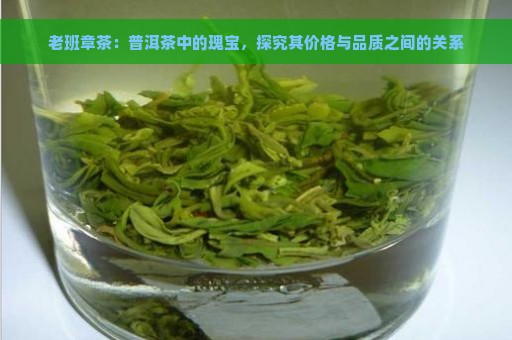 老班章茶：普洱茶中的瑰宝，探究其价格与品质之间的关系