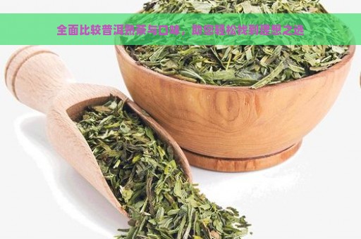 全面比较普洱熟茶与口味，助您轻松找到理想之选