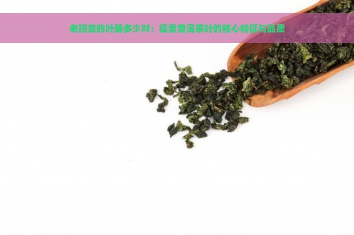 老班章的叶脉多少对：探索普洱茶叶的核心特征与品质