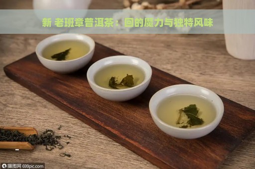 新 老班章普洱茶：回的魔力与独特风味