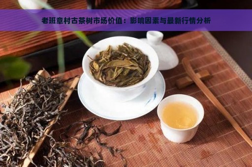 老班章村古茶树市场价值：影响因素与最新行情分析