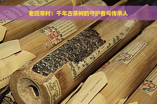 老班章村：千年古茶树的守护者与传承人