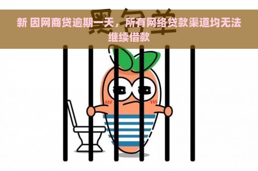 新 因网商贷逾期一天，所有网络贷款渠道均无法继续借款