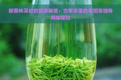 新雨林深处的班章秘境：古茶坊里的老班章独特风味探究