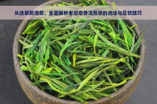 从选茶到泡茶，全面解析老班章普洱熟茶的泡法与品饮技巧