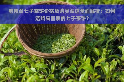 老班章七子茶饼价格及购买渠道全面解析：如何选购高品质的七子茶饼？