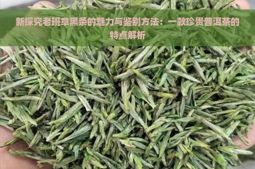 新探究老班章黑条的魅力与鉴别方法：一款珍贵普洱茶的特点解析