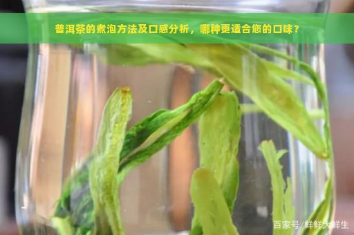 普洱茶的煮泡方法及口感分析，哪种更适合您的口味？