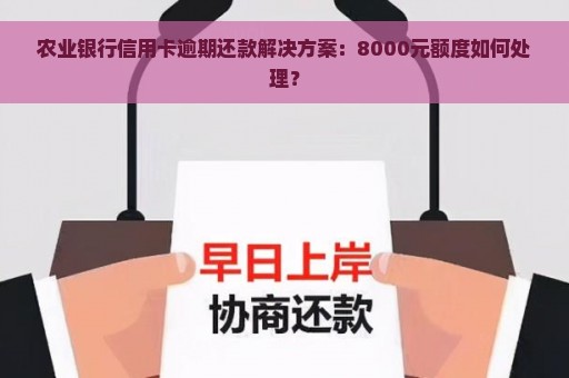 农业银行信用卡逾期还款解决方案：8000元额度如何处理？