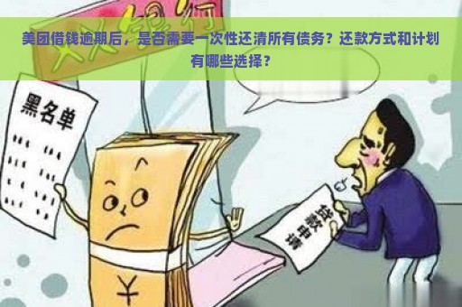 美团借钱逾期后，是否需要一次性还清所有债务？还款方式和计划有哪些选择？