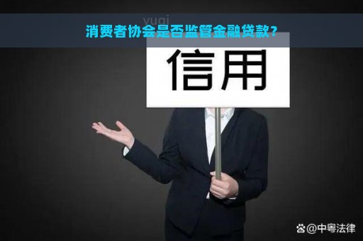 消费者协会是否监管金融贷款？