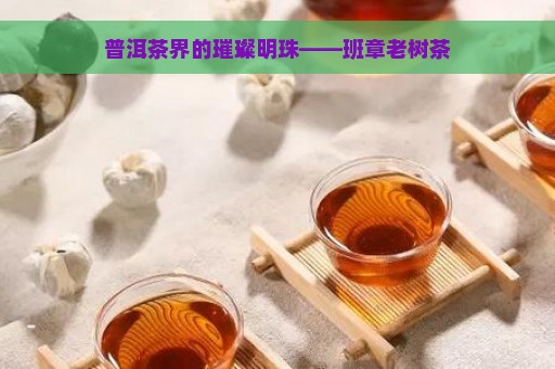 普洱茶界的璀璨明珠——班章老树茶