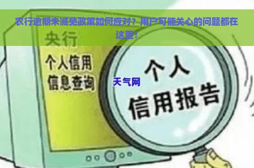 农行逾期未减免政策如何应对？用户可能关心的问题都在这里！