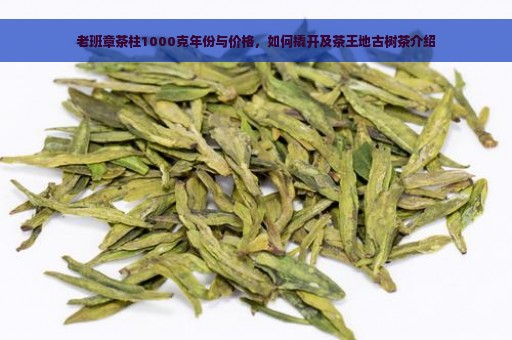 老班章茶柱1000克年份与价格，如何撬开及茶王地古树茶介绍