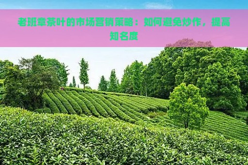 老班章茶叶的市场营销策略：如何避免炒作，提高知名度