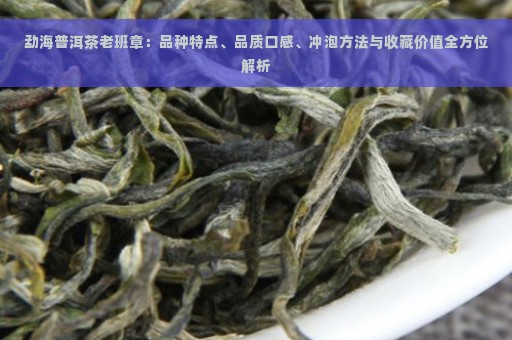 勐海普洱茶老班章：品种特点、品质口感、冲泡方法与收藏价值全方位解析