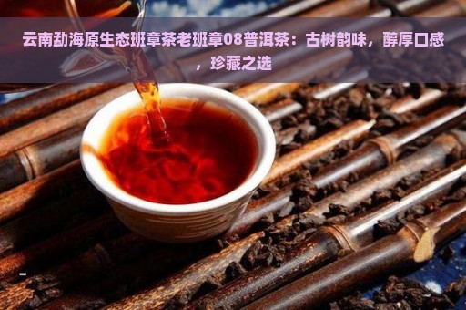 云南勐海原生态班章茶老班章08普洱茶：古树韵味，醇厚口感，珍藏之选