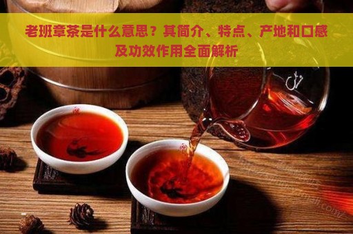 老班章茶是什么意思？其简介、特点、产地和口感及功效作用全面解析