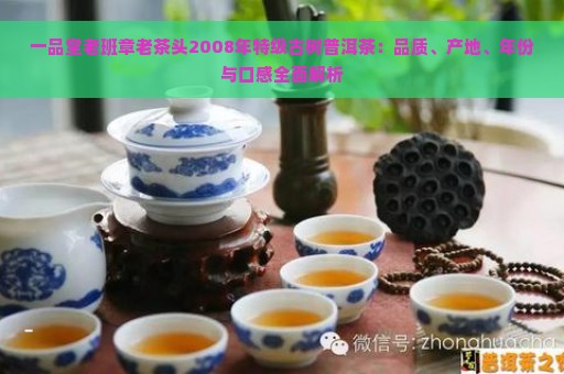 一品堂老班章老茶头2008年特级古树普洱茶：品质、产地、年份与口感全面解析