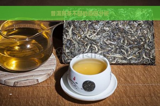 普洱熟茶不回的原因分析