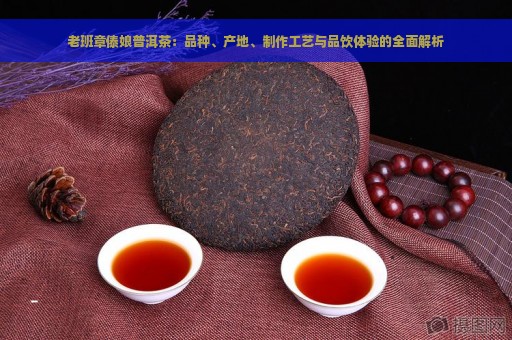 老班章傣娘普洱茶：品种、产地、制作工艺与品饮体验的全面解析