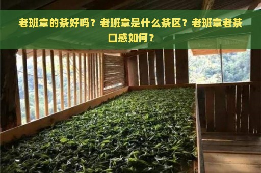 老班章的茶好吗？老班章是什么茶区？老班章老茶口感如何？