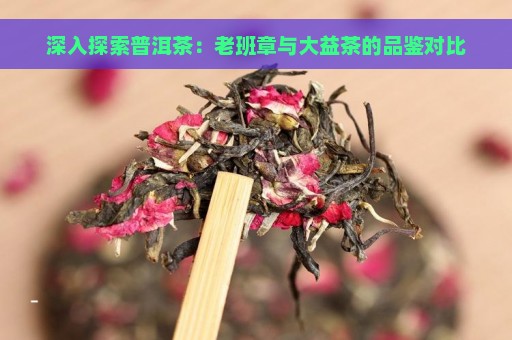 深入探索普洱茶：老班章与大益茶的品鉴对比