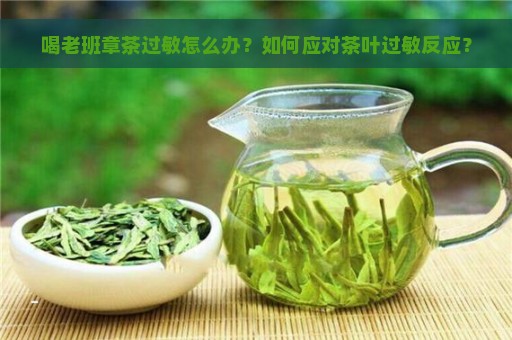 喝老班章茶过敏怎么办？如何应对茶叶过敏反应？