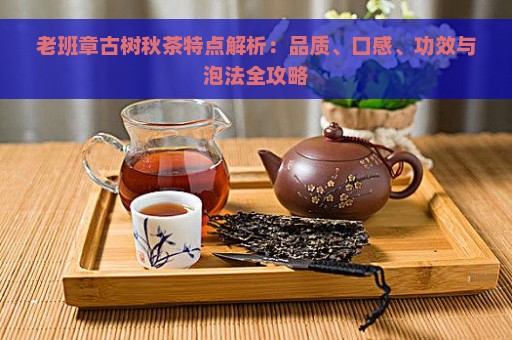 老班章古树秋茶特点解析：品质、口感、功效与泡法全攻略