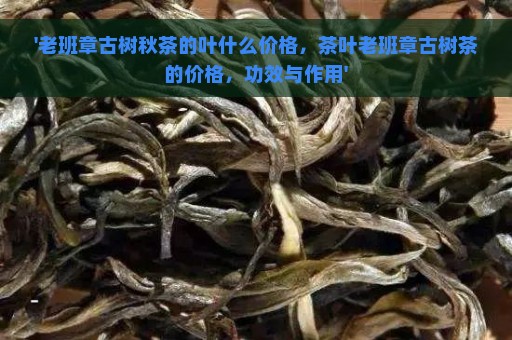 '老班章古树秋茶的叶什么价格，茶叶老班章古树茶的价格，功效与作用'