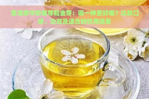 普洱茶中的紫芽和金芽：哪一种更好喝？比较口感、功效及适合的饮用场景