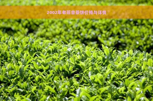 2002年老班章茶饼价格与详情